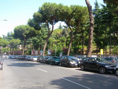 B&B Gregorius Close To St. Peter'S Roma Exterior foto